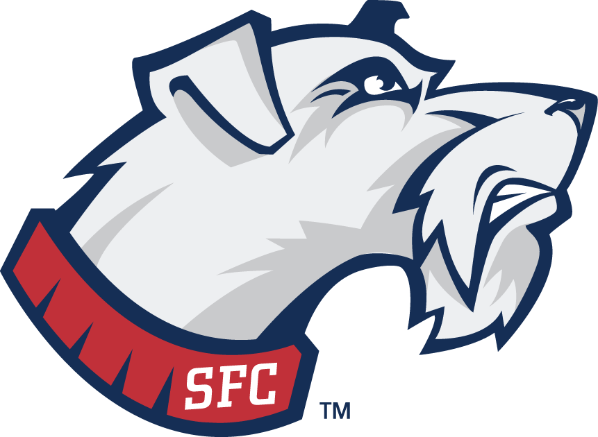 St. Francis Terriers 2001-2013 Secondary Logo diy iron on heat transfer
